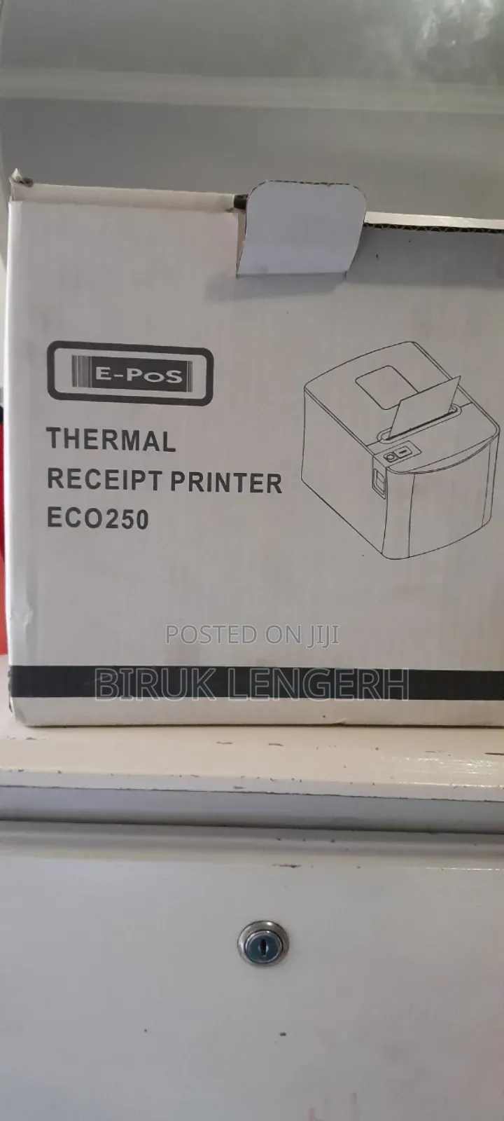 Printer Epson Eco250