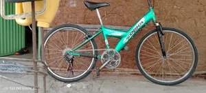 Best Bicycle for Sell