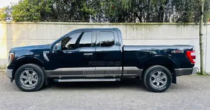 Ford F-150 2022 Gray