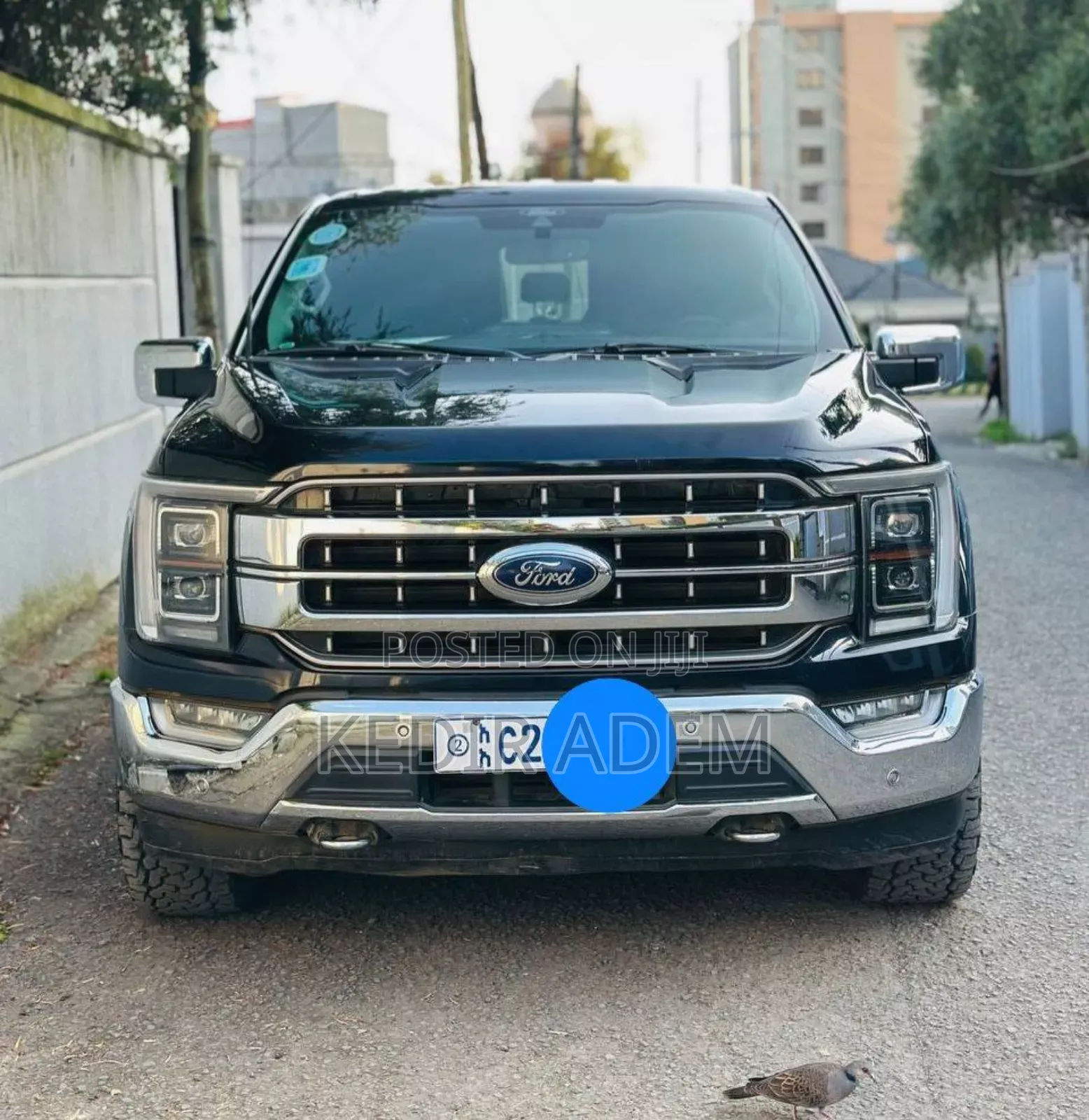 Ford F-150 2022 Gray