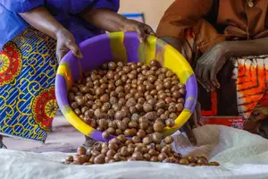 ሸያ በተር Shiya Buter