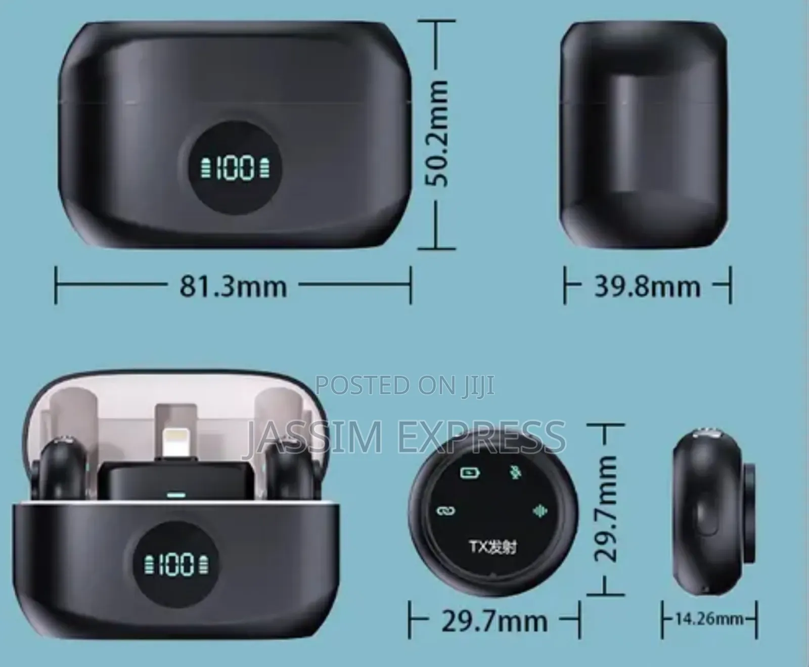 Dual Interface Button Type Live Microphone Equipped With Charging Case