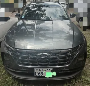 Hyundai Tucson Limited 2024 Gray