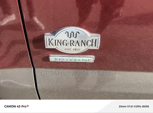 Ford F-150 2017 Burgundy