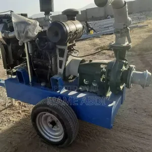 Photo - ባለ100የወርቅ ፖምፕ