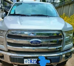Ford F-150 2017 Silver