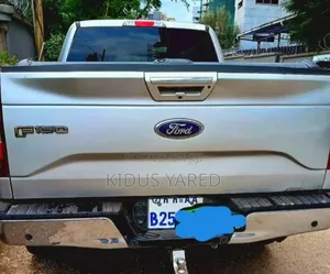 Ford F-150 2017 Silver