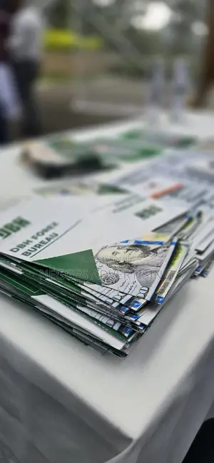 Flyers, Brochures and Other Branding and Printing Materials