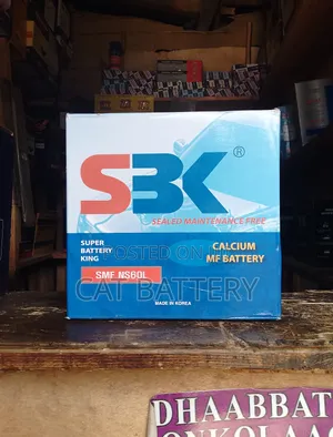 Photo - A Cool Battery for a Cool Car