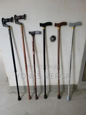 Walking Sticks臨፱pick for You. It Comes in a Proper Packaging.