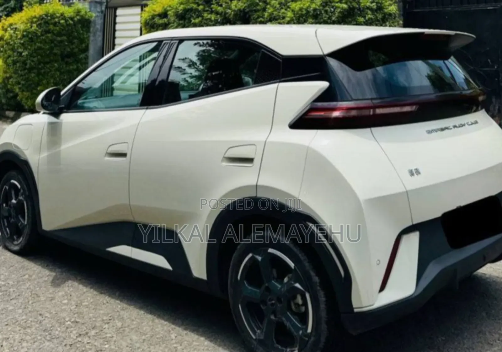 New BYD Seagull 2024 White