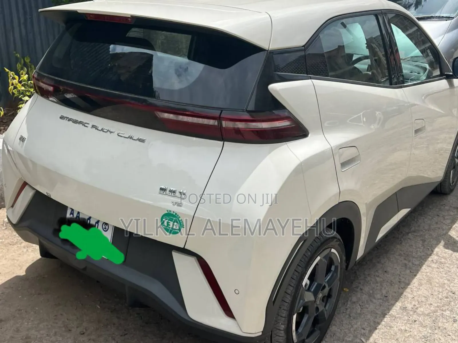 New BYD Seagull 2024 White