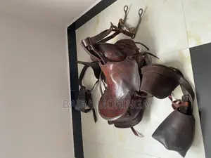 Photo - Horse Saddle