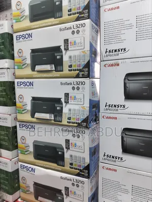 Epson L3250