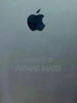 New Apple iPhone 13 Pro Max 256 GB Gold