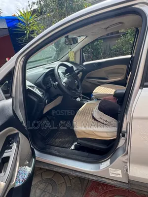 Ford Ecosport 2020 Gray