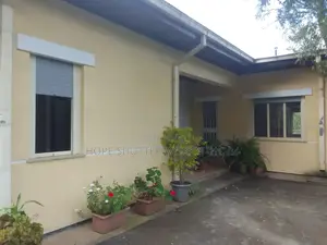 Plastic Shutter