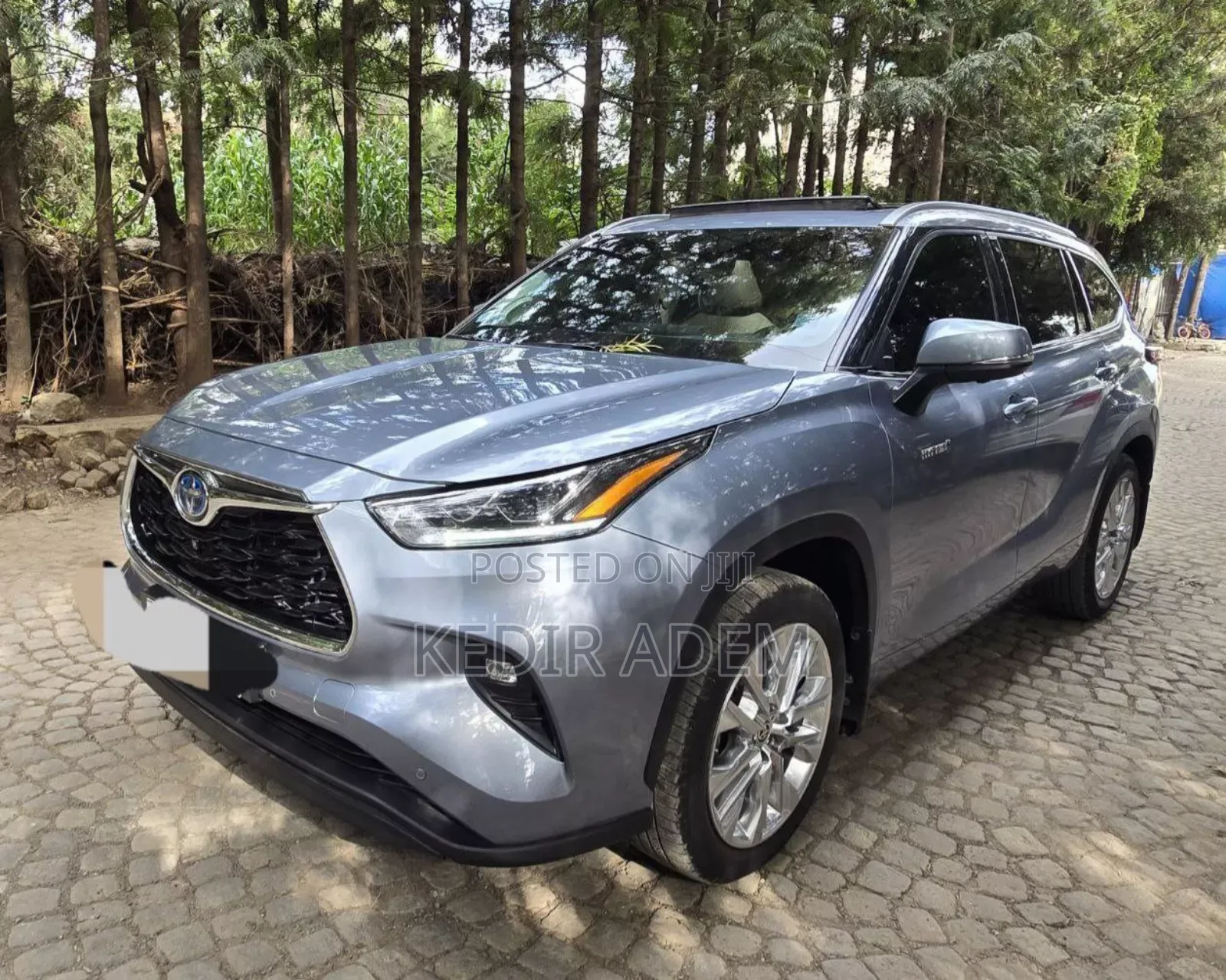 Toyota Highlander 2023 Blue