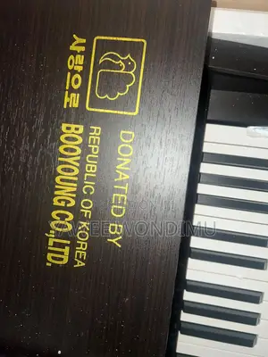 Young Chang Digital Piano