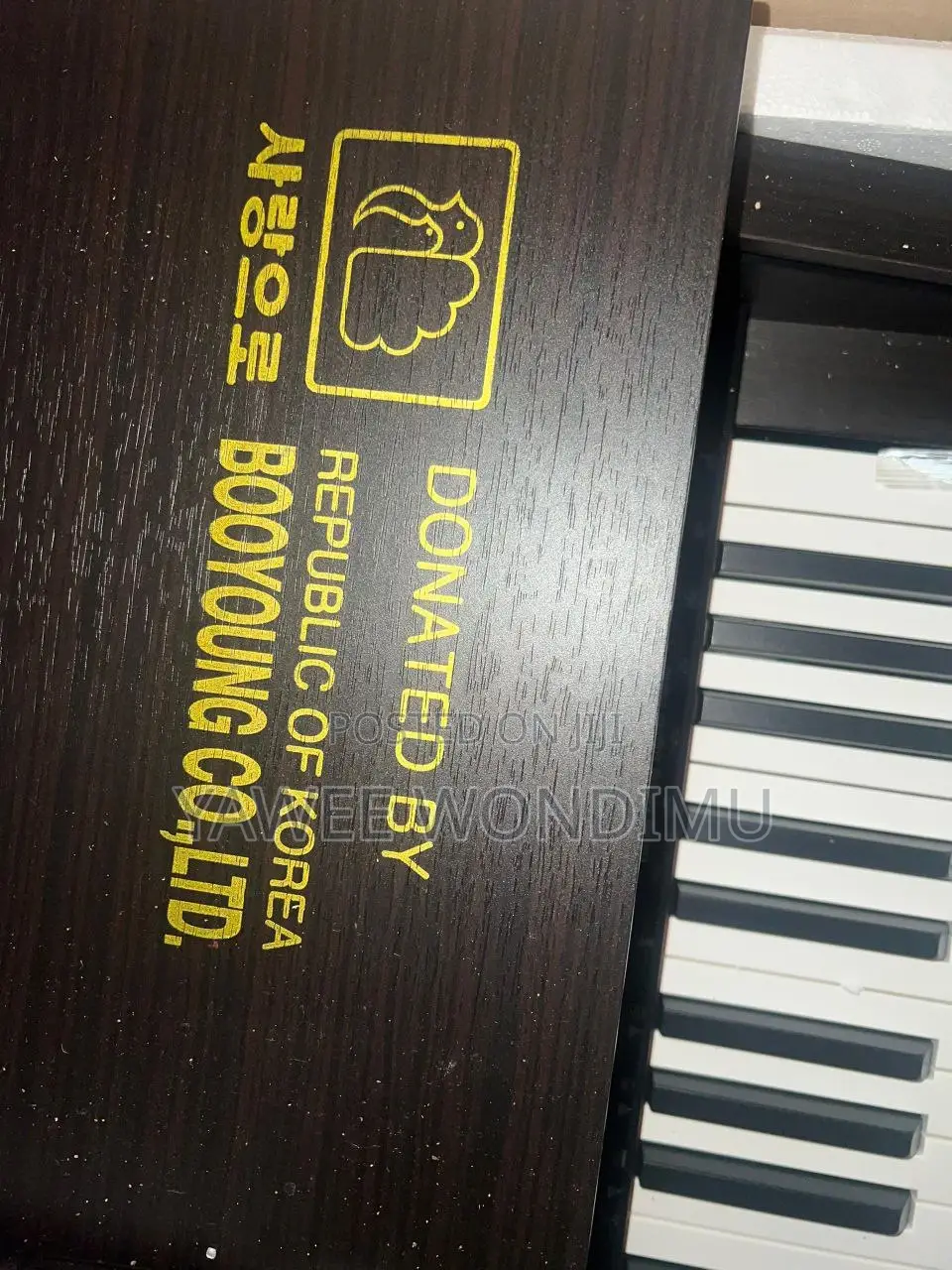 Young Chang Digital Piano