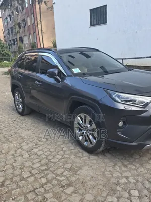 Toyota RAV4 2019 Gray