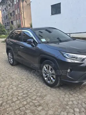 Toyota RAV4 2019 Gray