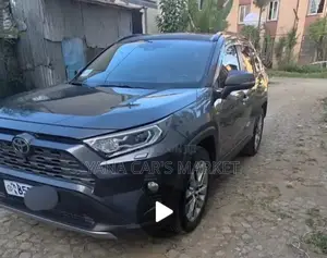 Toyota RAV4 2019 Gray