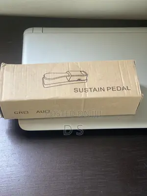 Sustain Pedal