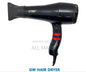 GWD Hair Dryer