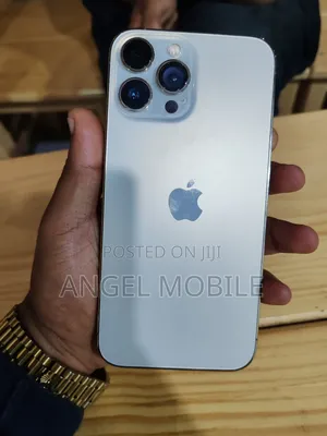 Apple iPhone 13 Pro Max 512 GB Gray