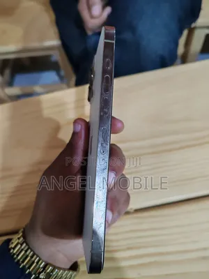 Apple iPhone 13 Pro Max 512 GB Gray