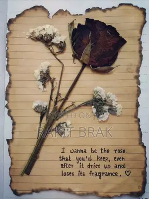 Photo - The Paper Flower