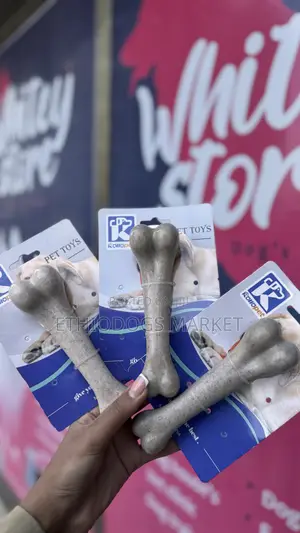 Photo - Artificial Bone 