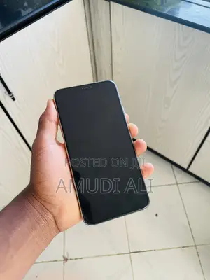 Apple iPhone 11 Pro Max 256 GB White