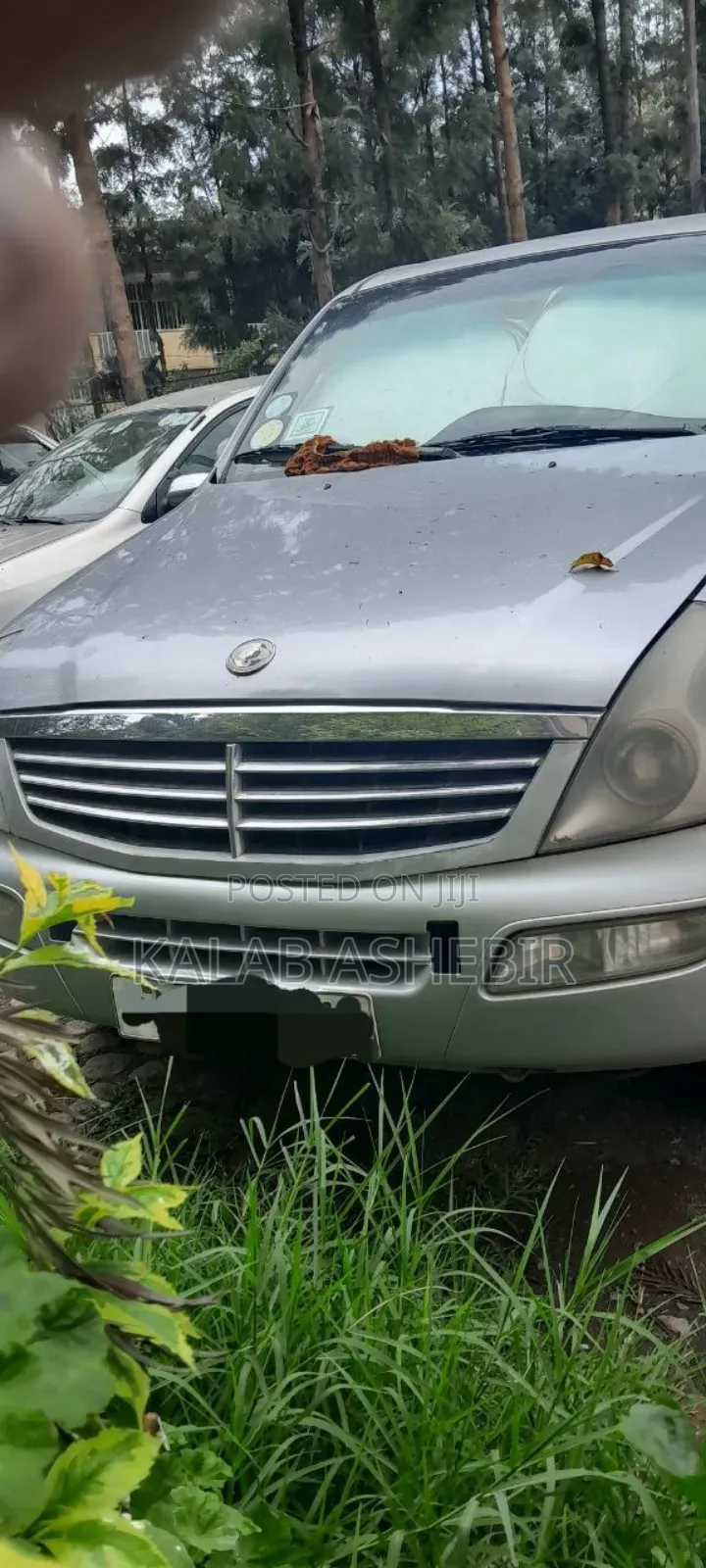 SsangYong Rexton RX 290 2005 Silver