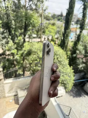 Apple iPhone 12 Pro Max 256 GB Gold