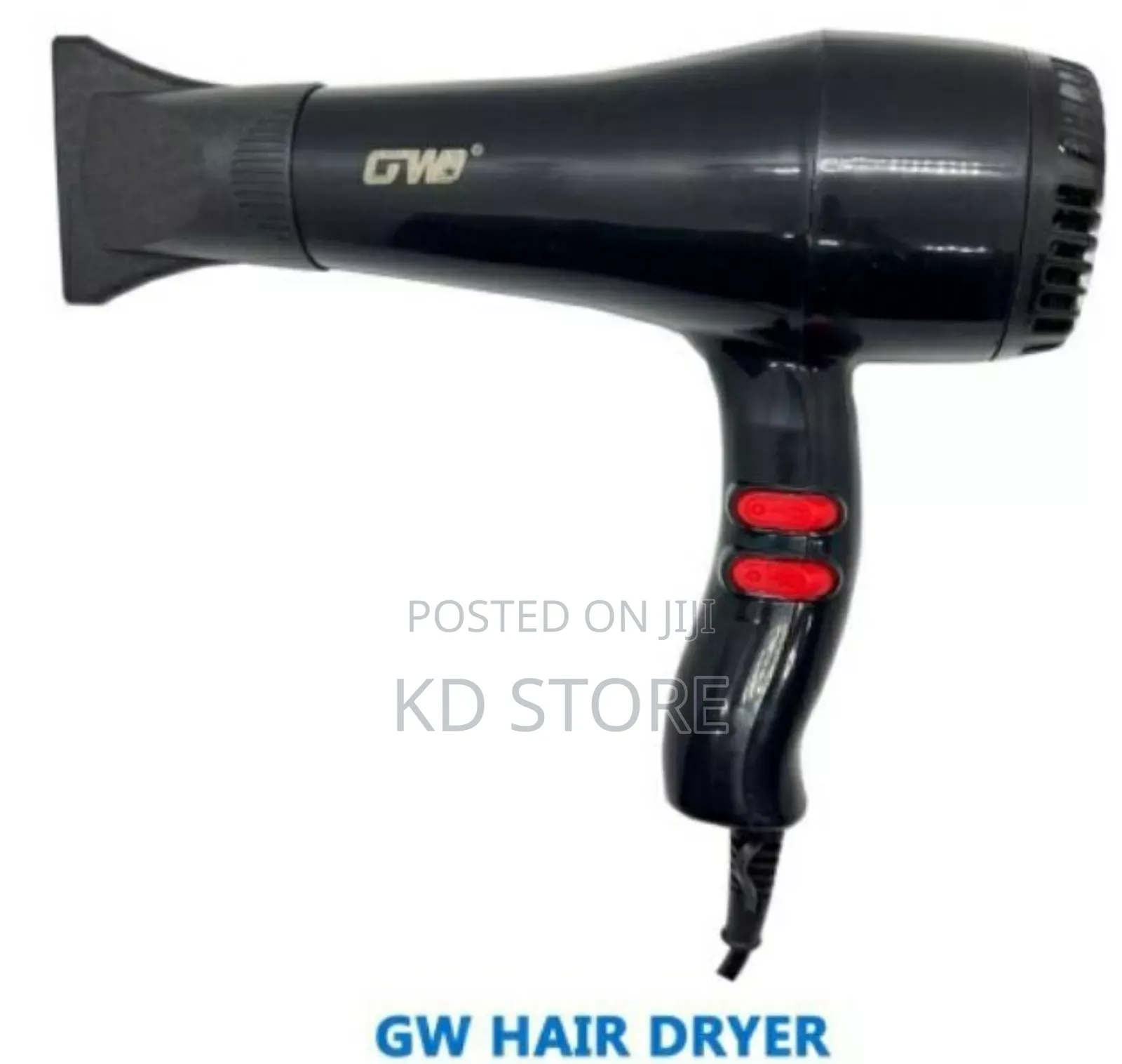 GWD Hair Dryer
