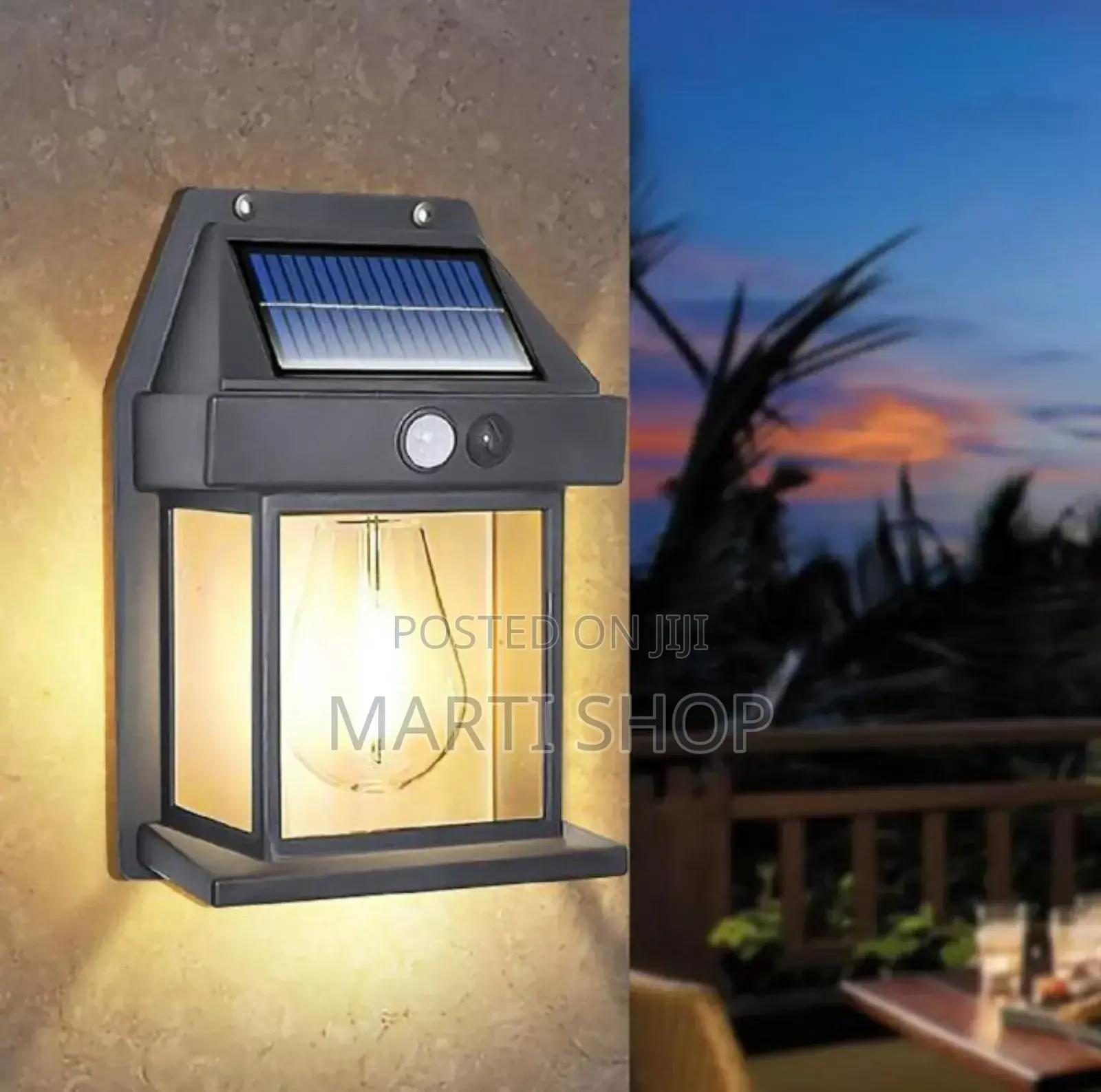 Solar Induction Wall Lamp