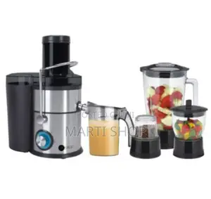4 in 1 Stainless Steel Juicer and Blender