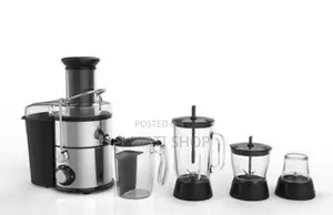 4 in 1 Stainless Steel Juicer and Blender