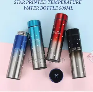Smart Led Temperature Display Bottle