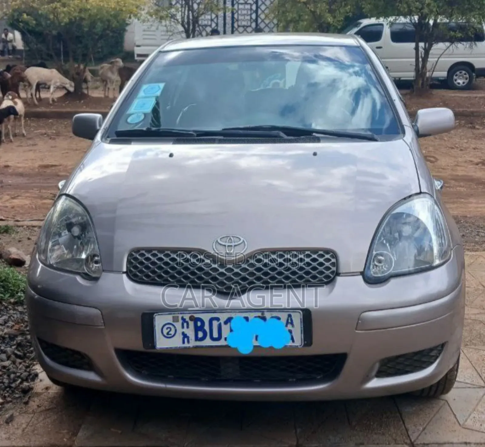 Toyota Vitz 2002 Gold