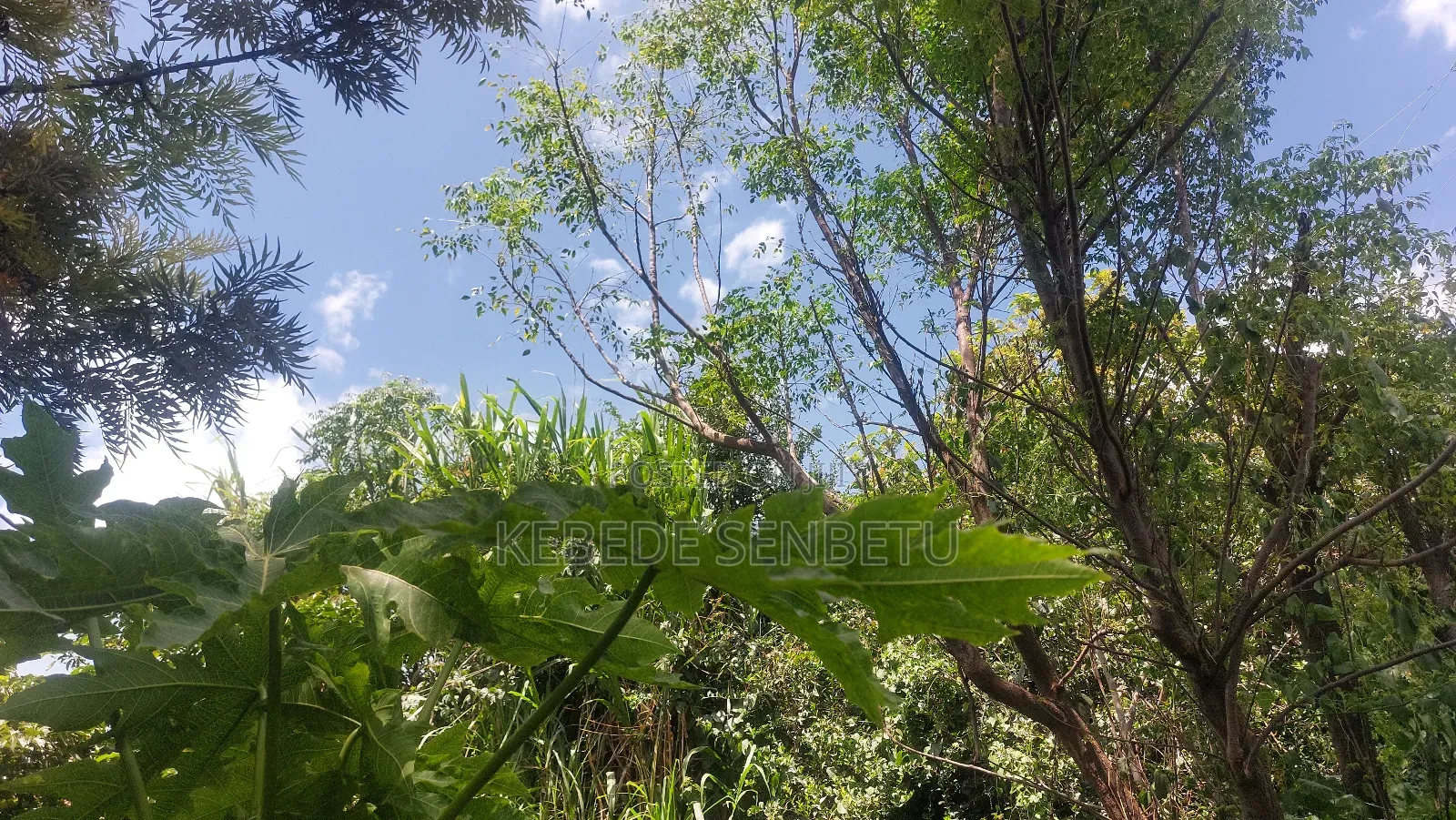 2bdrm House in Oromia, East Shewa for sale