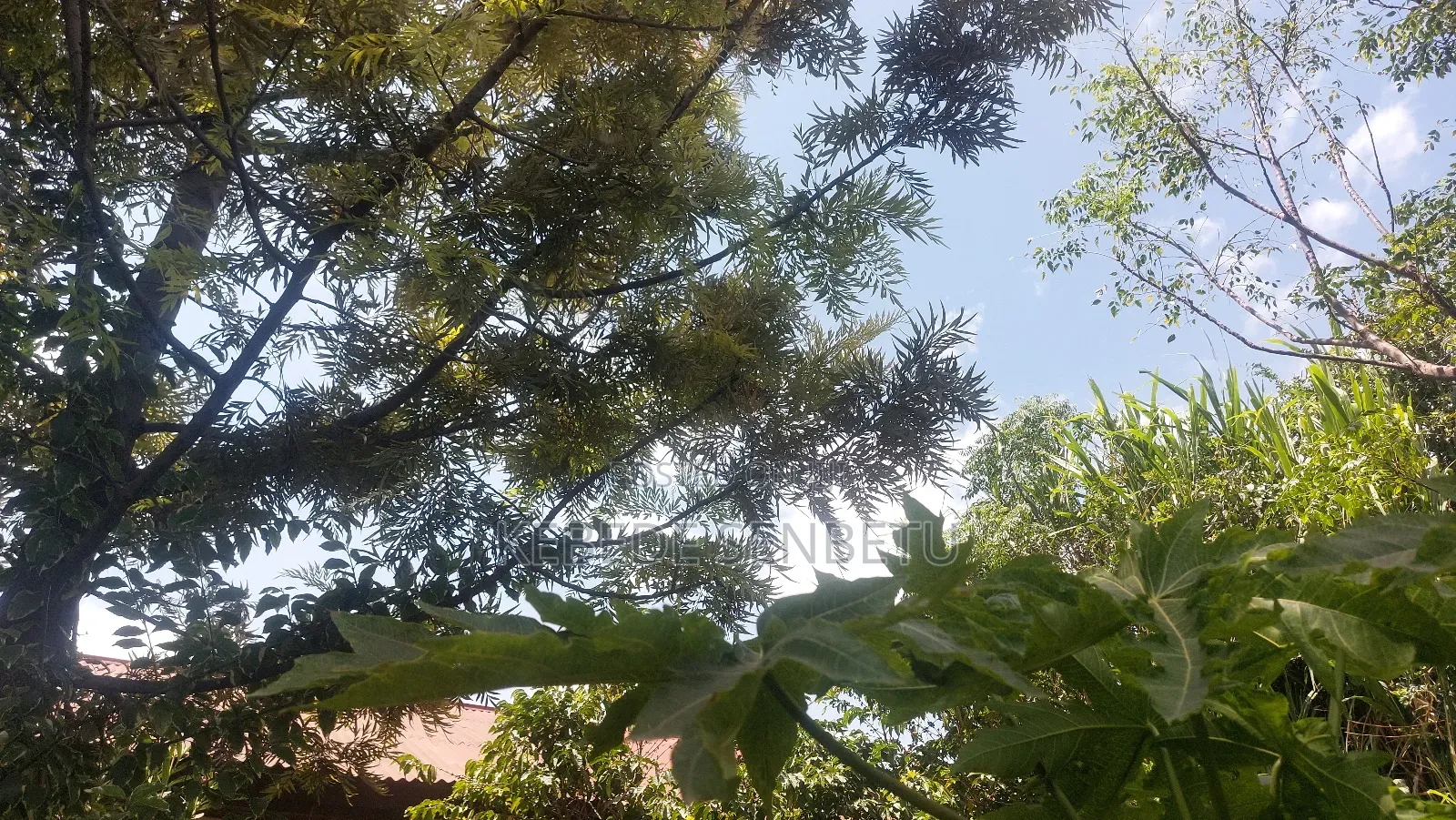 2bdrm House in Oromia, East Shewa for sale