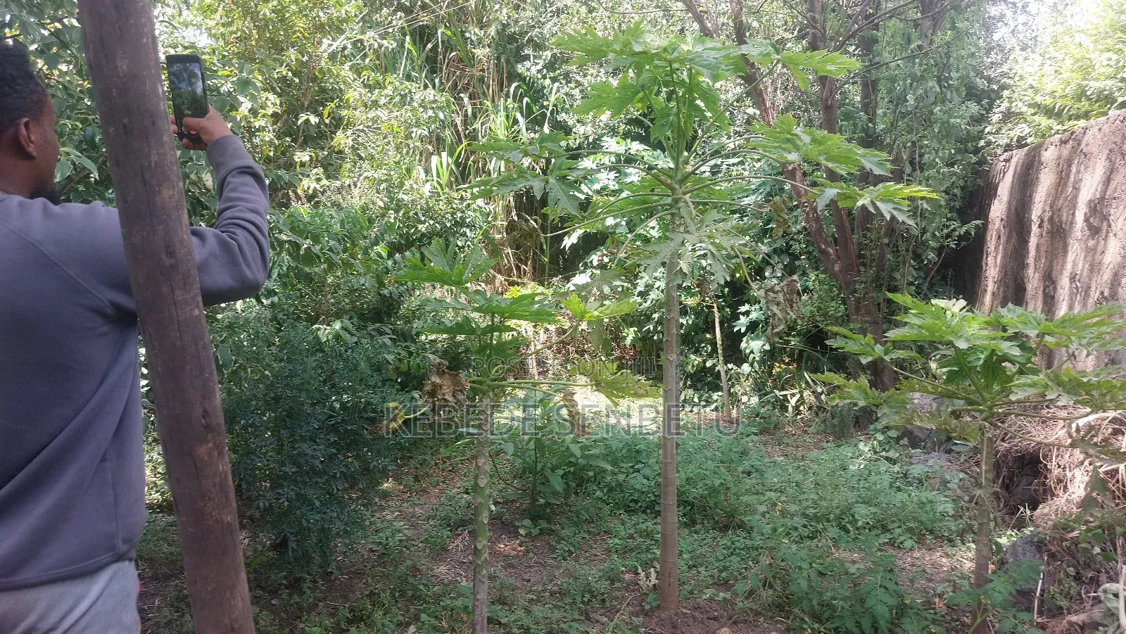 5bdrm House in Oromia, East Shewa for sale