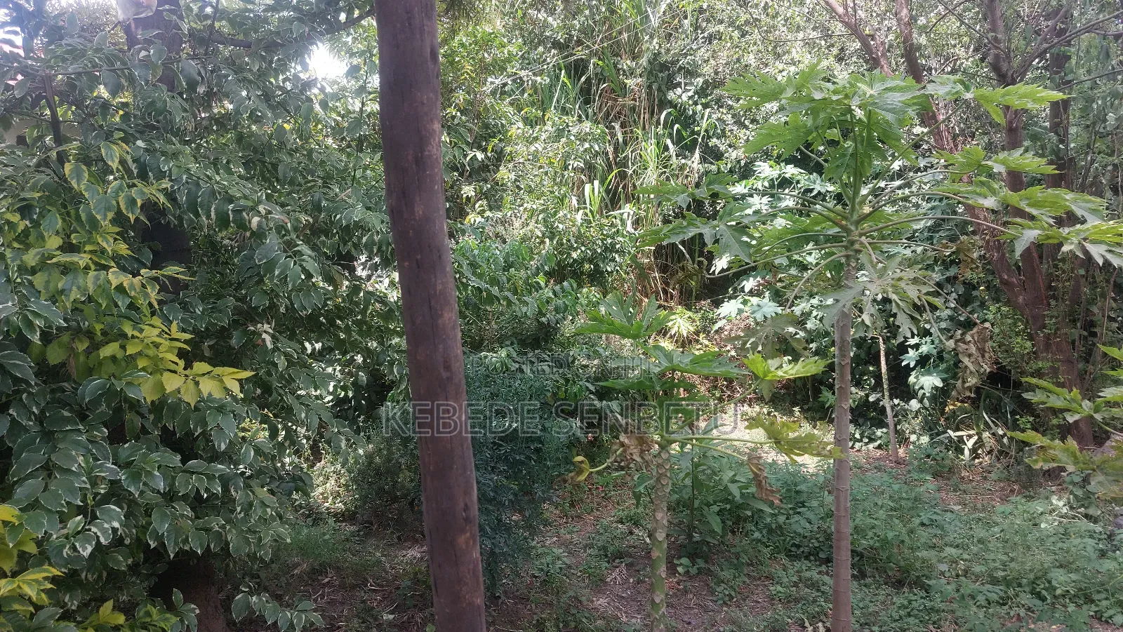 5bdrm House in Oromia, East Shewa for sale