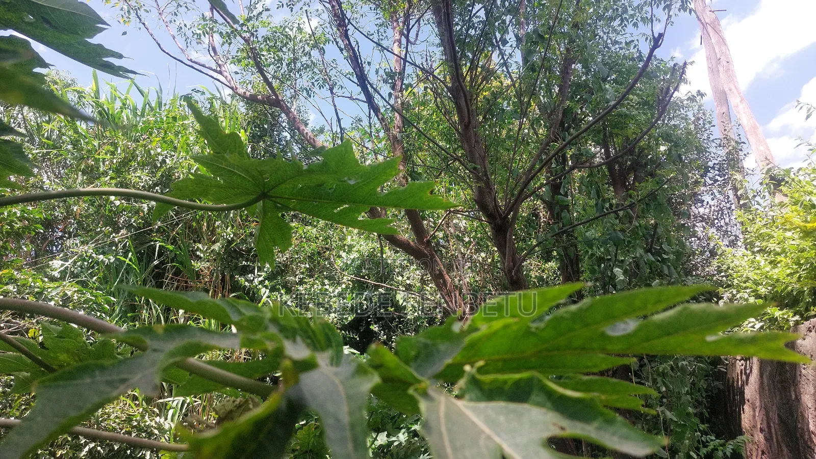 5bdrm House in Oromia, East Shewa for sale