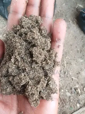 አሸዋ ጠጠር ድንጋይ