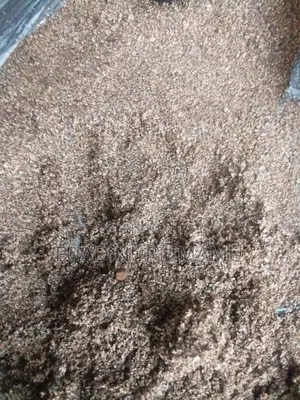 አሸዋ ጠጠር ድንጋይ