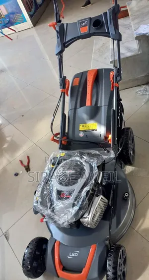 Photo - Gasoline Lon Mor Leo 196cc